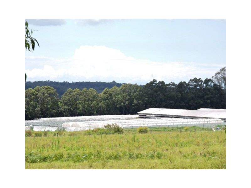 Peats Ridge NSW 2250