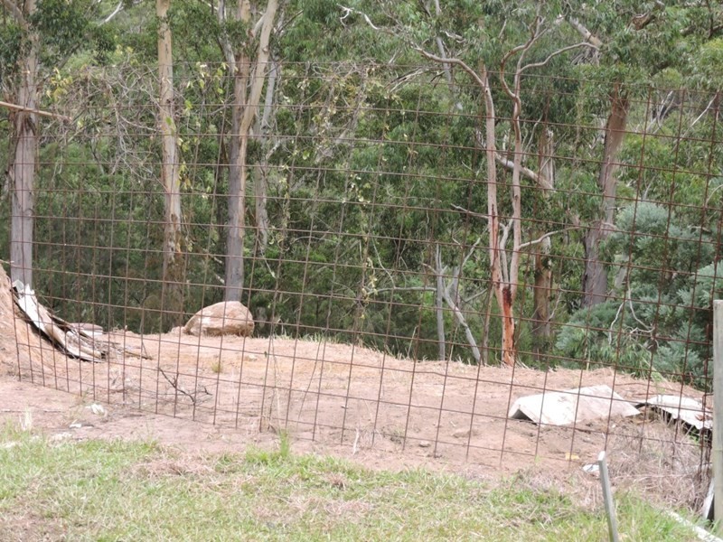 16 Tottenham Place, North Gosford NSW 2250