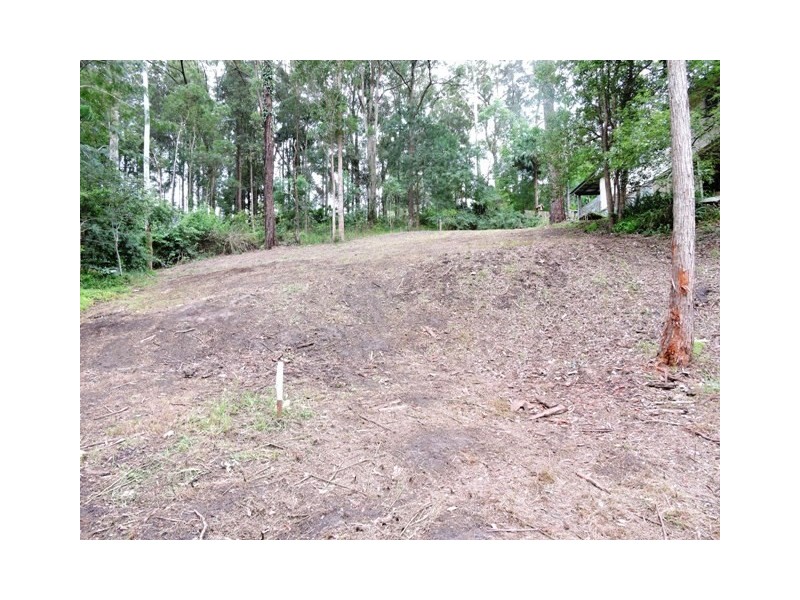 21 Hamilton Close, Niagara Park NSW 2250