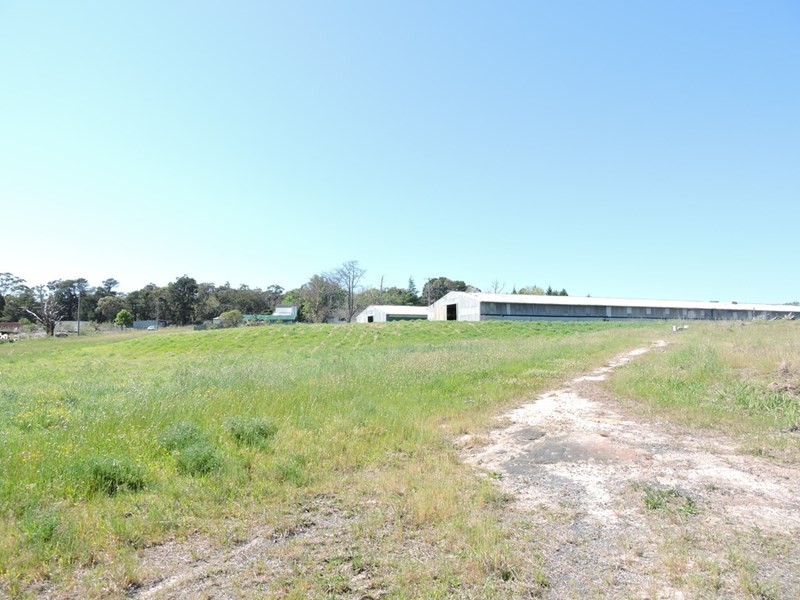 2544 Wisemans Ferry Road, Mangrove Mountain NSW 2250