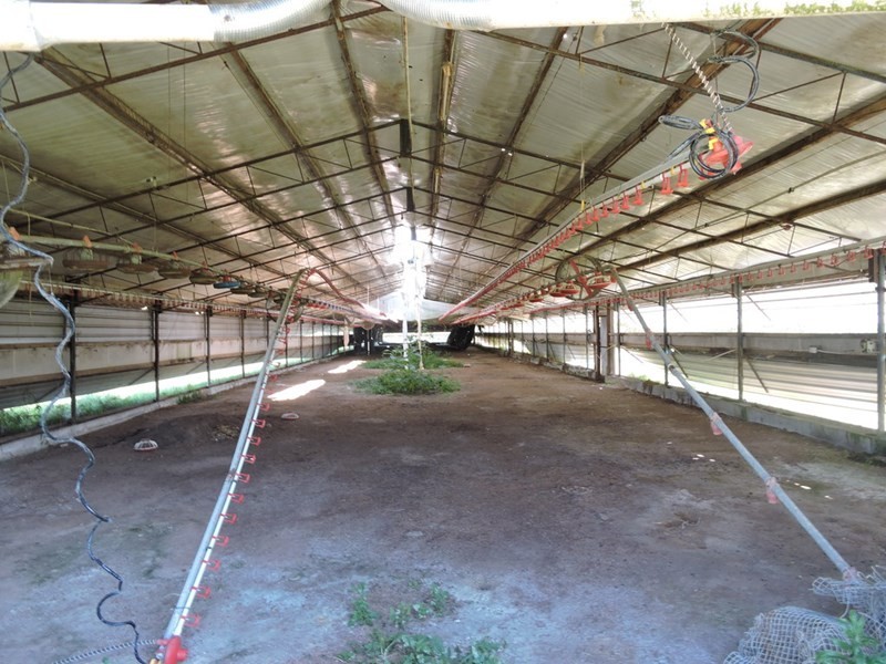 2544 Wisemans Ferry Road, Mangrove Mountain NSW 2250