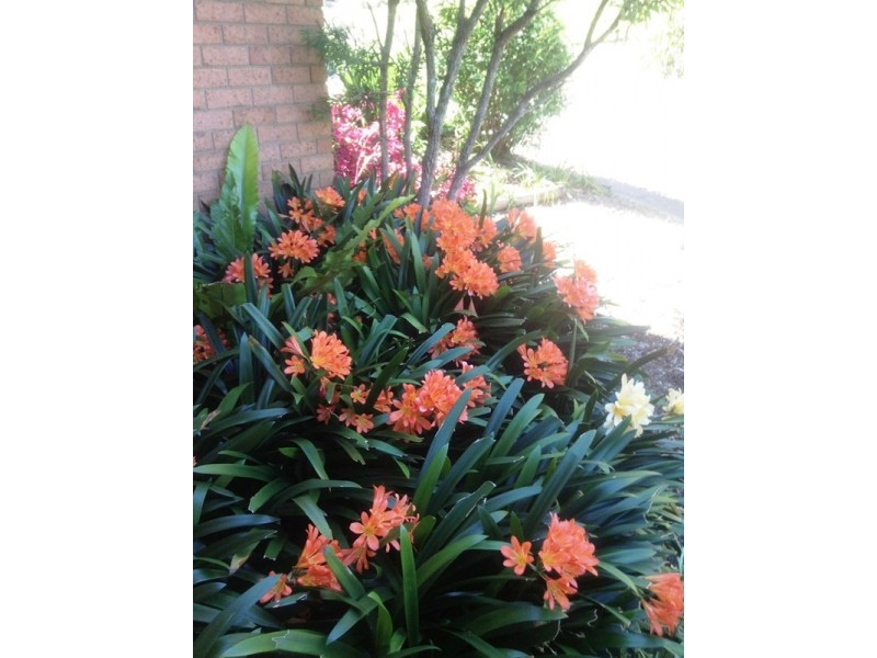 15/65 Davies Street, Kincumber NSW 2251