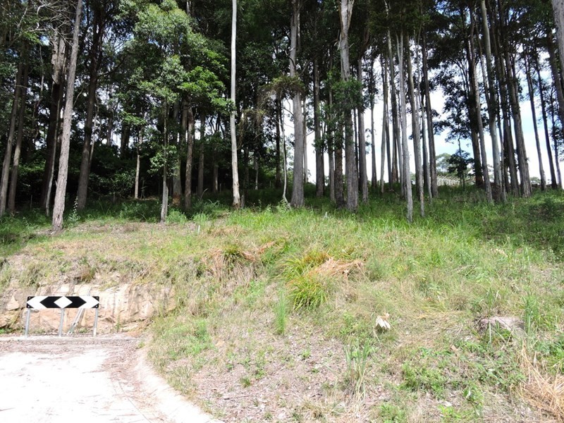Lot 554 Part Lot 66 The Ridgeway, Lisarow NSW 2250