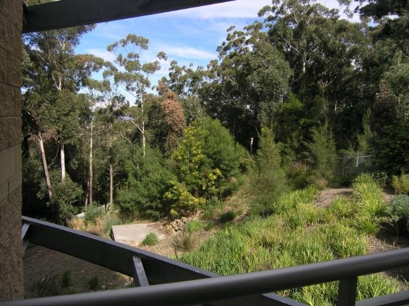 111/80 John Whiteway Drive, Gosford NSW 2250