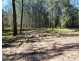 4015 Wisemans Ferry Road, Lower Mangrove NSW 2250