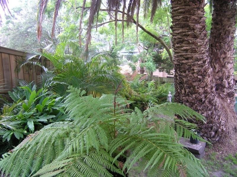 13 Doughan Place, Gosford NSW 2250