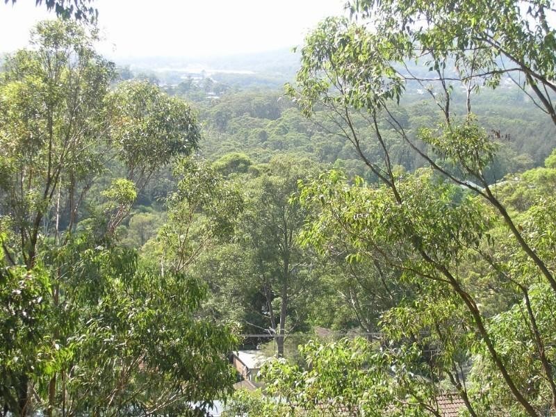 21 Alison Road, Springfield NSW 2250