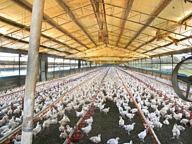 606 George Downes Drive, Kulnura NSW 2250