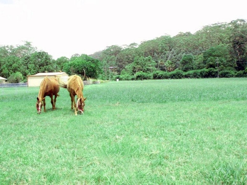 Lisarow NSW 2250