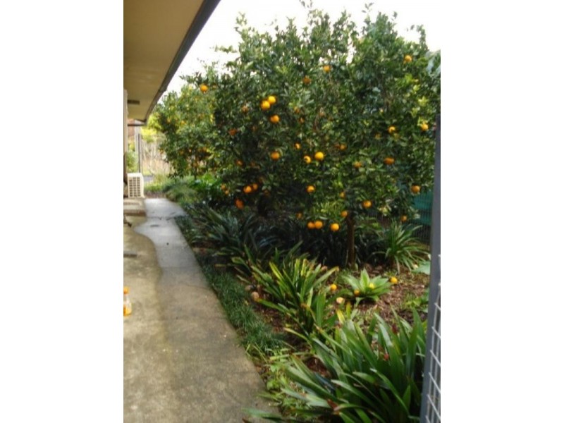 14 Brancourt Avenue, Narara NSW 2250