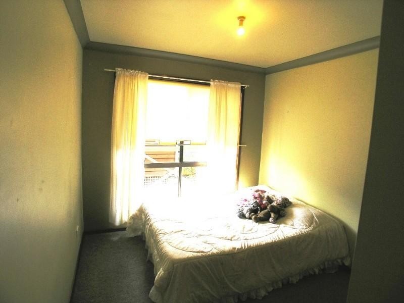 17 Lakala Avenue, Springfield NSW 2250