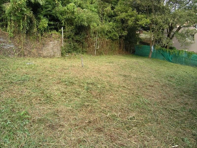 Gosford NSW 2250