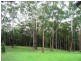 Mount Elliot NSW 2250