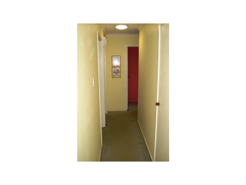 106 Springfield Road, Springfield NSW 2250