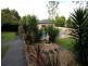 61 Deane Street, Narara NSW 2250