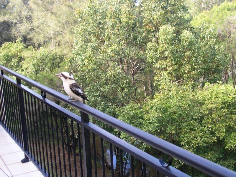 16/2 Adcock Avenue, West Gosford NSW 2250