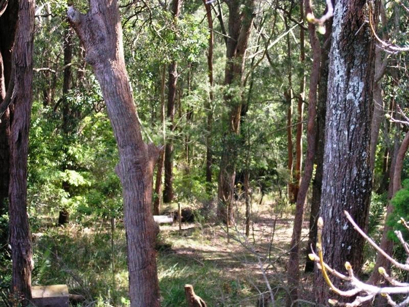 East Gosford NSW 2250