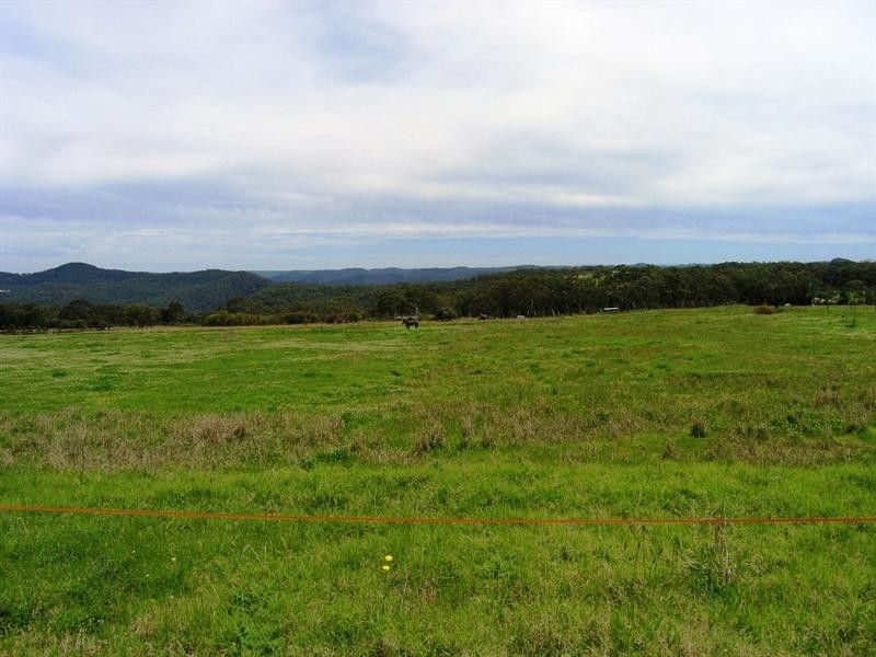2236 Peats Ridge Road, Calga NSW 2250