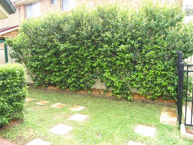 3 Burnside Close, Lisarow NSW 2250