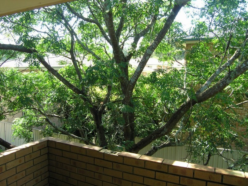 East Gosford NSW 2250