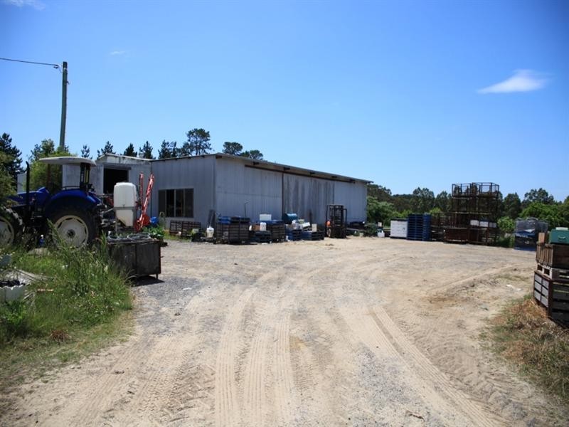 138 George Downes Drive, Central Mangrove NSW 2250