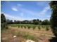 138 George Downes Drive, Central Mangrove NSW 2250