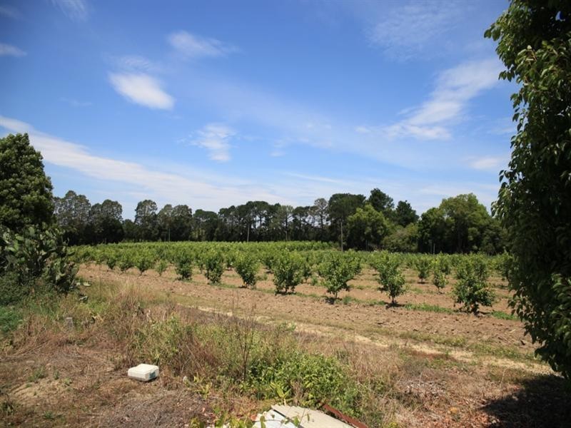 138 George Downes Drive, Central Mangrove NSW 2250