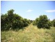 138 George Downes Drive, Central Mangrove NSW 2250