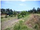 138 George Downes Drive, Central Mangrove NSW 2250