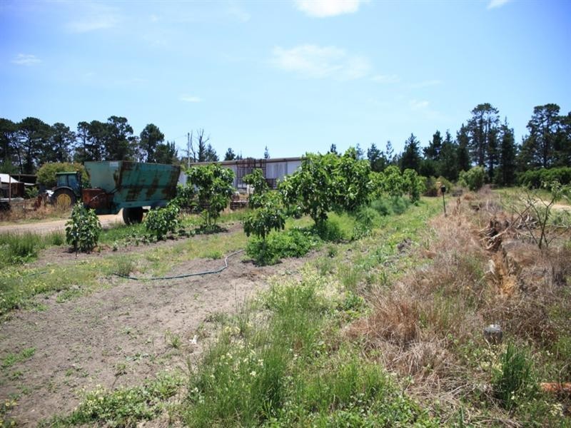 138 George Downes Drive, Central Mangrove NSW 2250