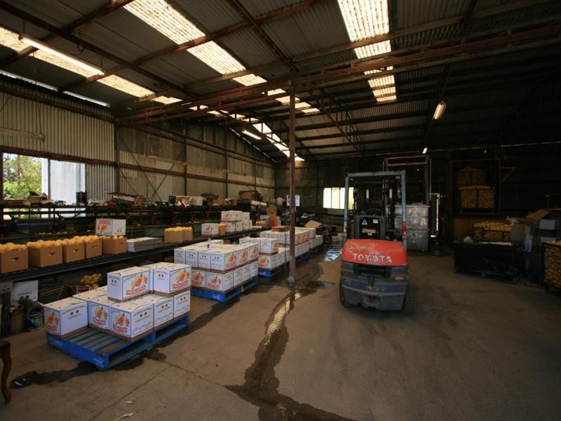 138 George Downes Drive, Central Mangrove NSW 2250