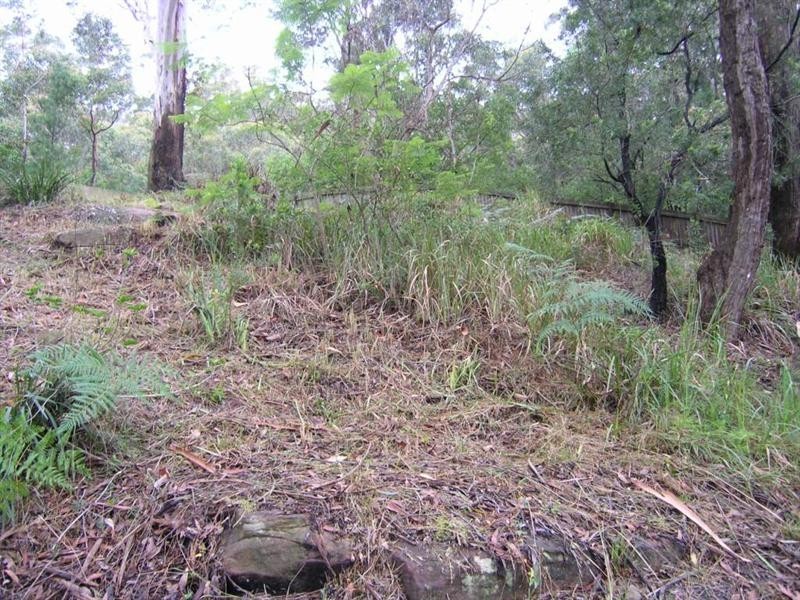 55a Etna Street, Gosford NSW 2250