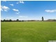 1083 Peats Ridge Road, Peats Ridge NSW 2250