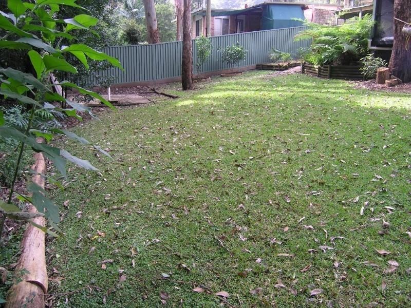 31 Blackbutt Street, Wyoming NSW 2250