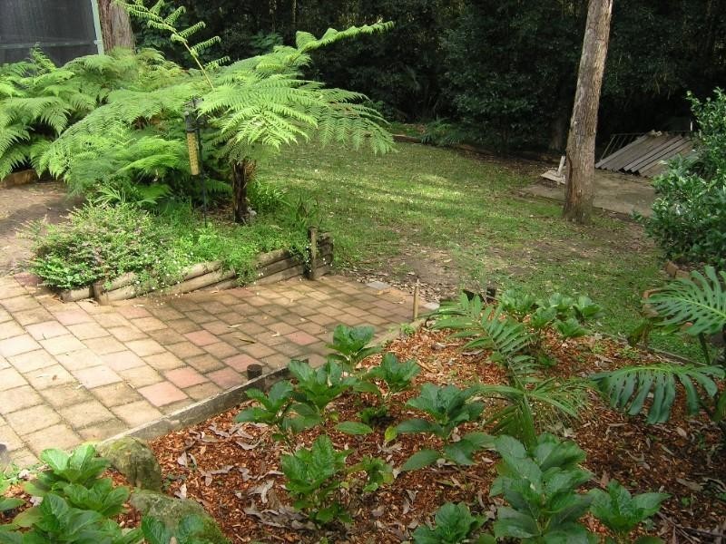 31 Blackbutt Street, Wyoming NSW 2250