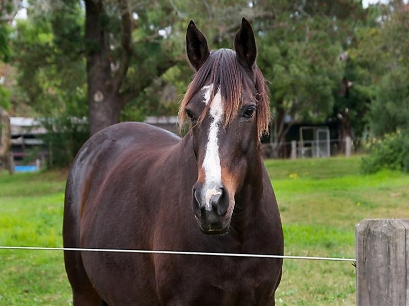 Kulnura NSW 2250