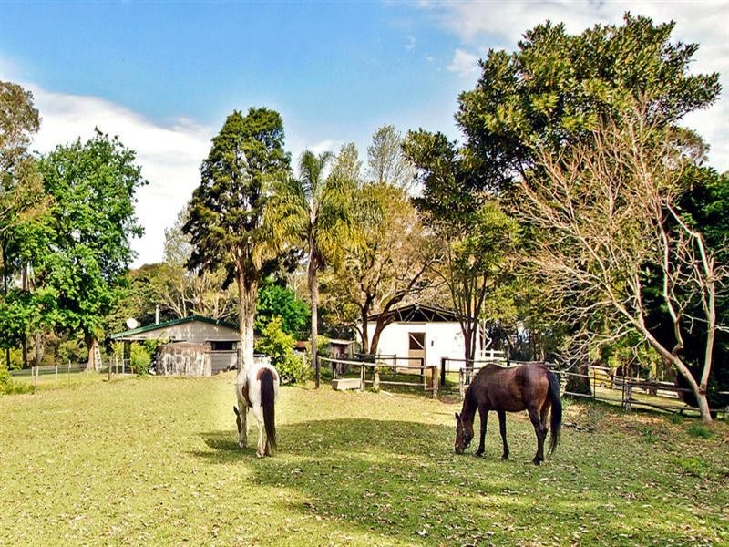 388 The Ridgeway, Lisarow NSW 2250