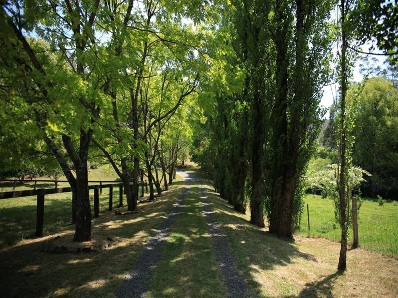 375 Ourimbah Creek Road, Ourimbah NSW 2258