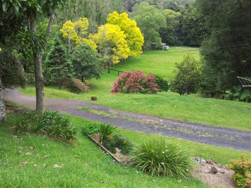 375 Ourimbah Creek Road, Ourimbah NSW 2258