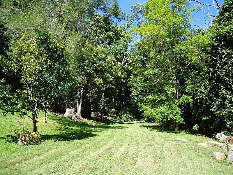 98 Blackbutt Street, Wyoming NSW 2250