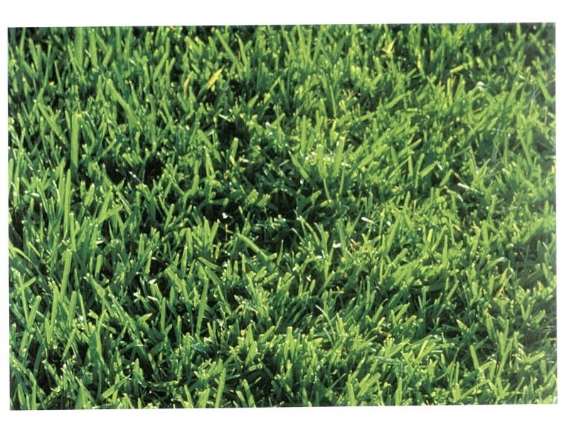 15 Pira Loop, Byford WA 6122