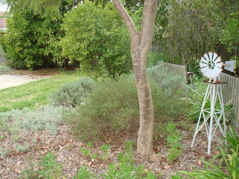 12 Birrell Place, Gosnells WA 6110