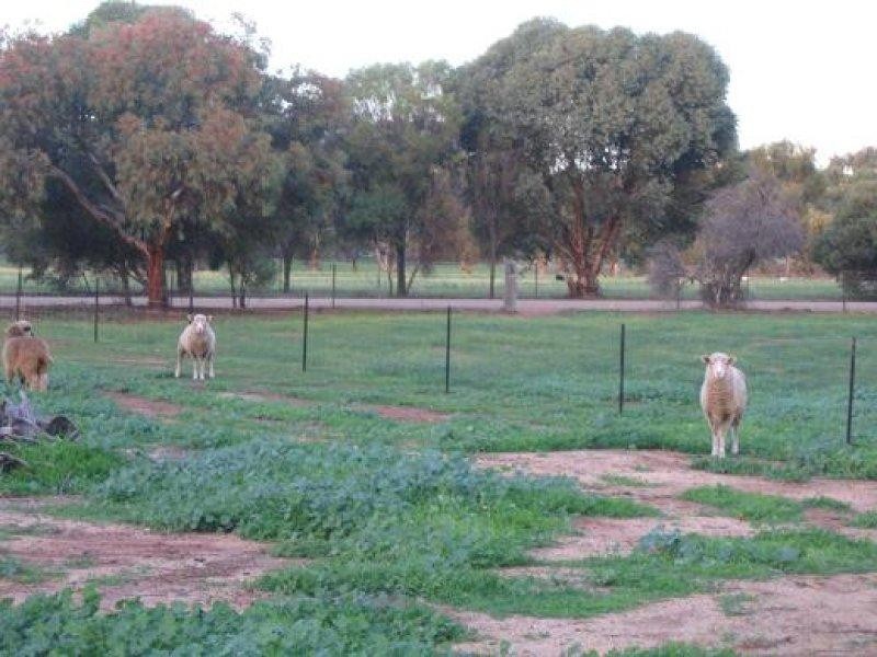 49 Richardson Street, Brookton WA 6306