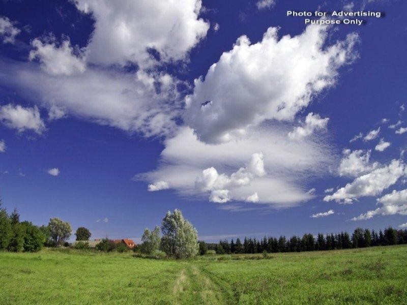 47 Staniland Street, Orange Grove WA 6109