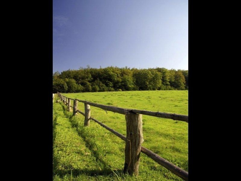 47 Staniland Street, Orange Grove WA 6109