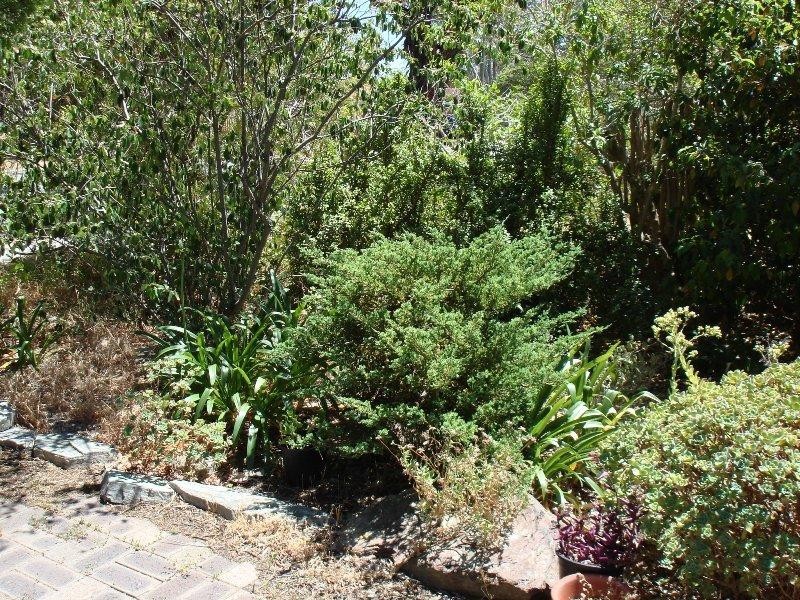 124 Verna Street, Gosnells WA 6110