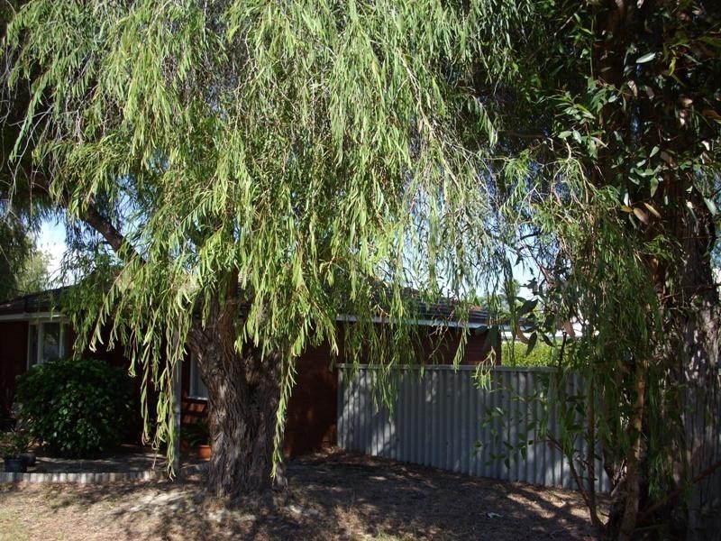 2 Sarre Street, Gosnells WA 6110