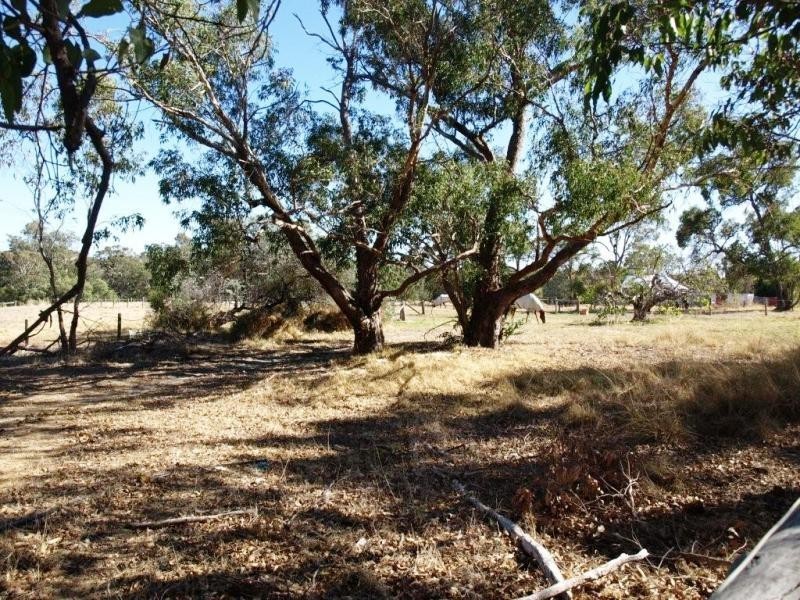 111 Connell Avenue, Martin WA 6110