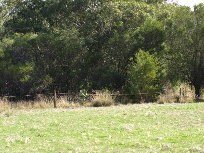 111 Connell Avenue, Martin WA 6110