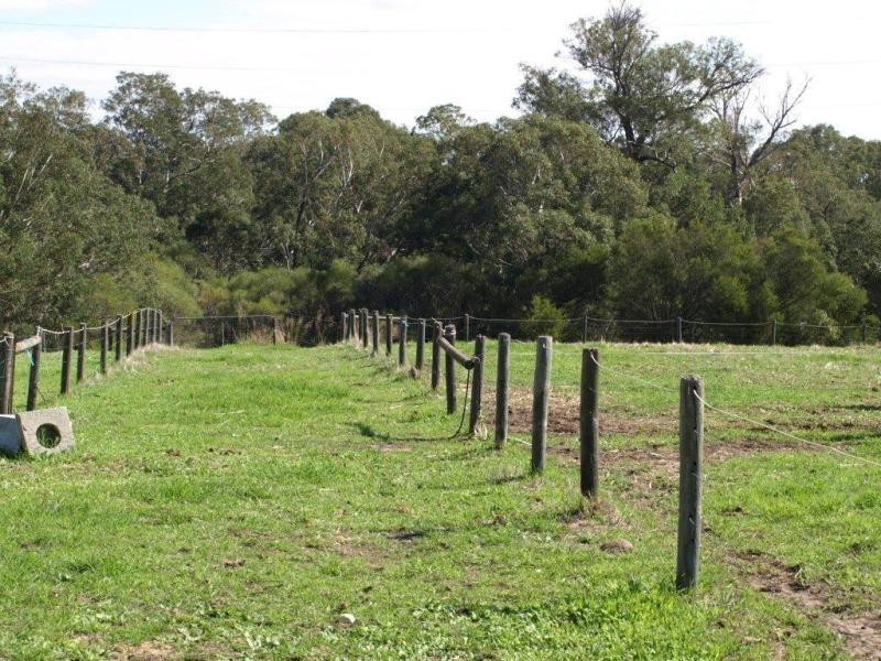 111 Connell Avenue, Martin WA 6110